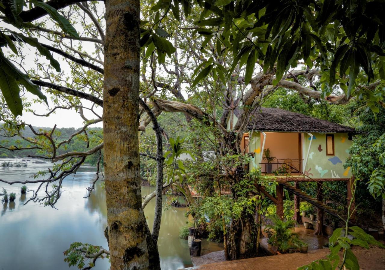 Whistling Woodzs Resort Dandeli Exteriér fotografie