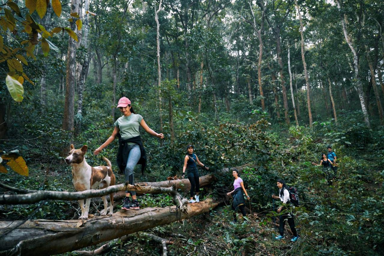Whistling Woodzs Resort Dandeli Exteriér fotografie